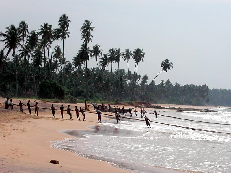 Пляжи Косгода, Шри Ланка