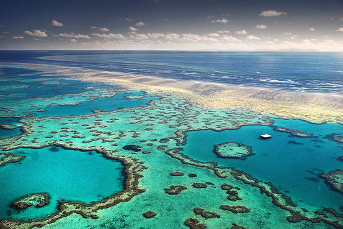 Отдых на Большом Баръерном рифе в Австралии